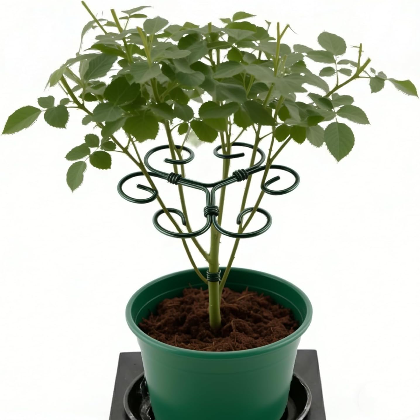 2Pack Green Iron Monstera Support,4.1 * 4.1IN Plant Support Stakes | for Indoor Plants,Durable Green Metal Plant Stem Supports-Easy Installation.