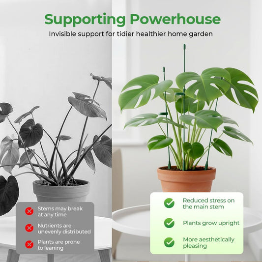 Adjustable Plant Support Stakes with Clips for Tomato and Flower | Garden Plant Support Sticks 10.6/14.6in, Monstera Plant Support, Plant Holder for Indoor Outdoor Plants Vegetable