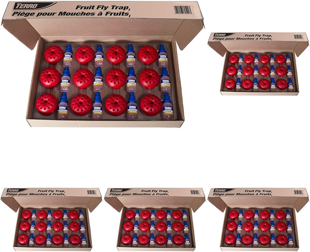 Terro Fruit Fly Traps for Indoors (12 Pack) + 540 Days of Lure Supply