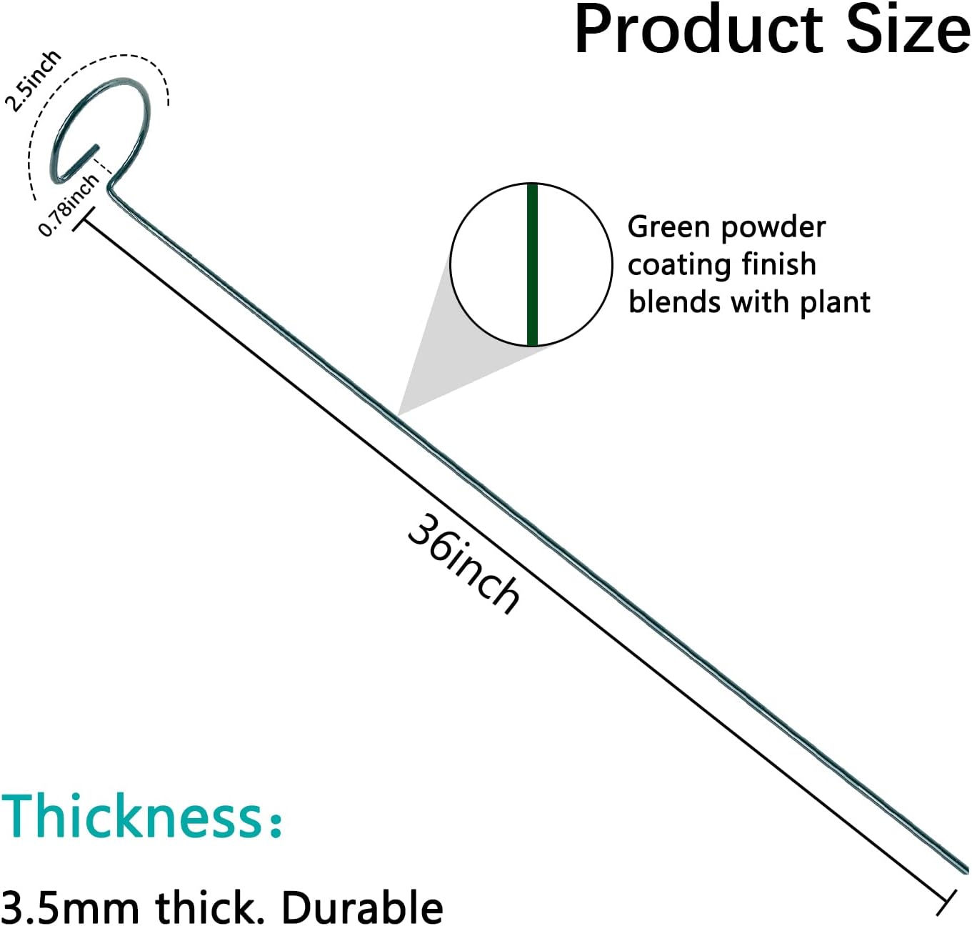 Thealyn 12 Pack 16 Inch Plant Support Stakes, Metal Single stemmed Flower Support Hoops,Garden Plant Stakes Plant Prop for Amaryllis Orchid Lily Rose Peony Tomatoes Gladiolus