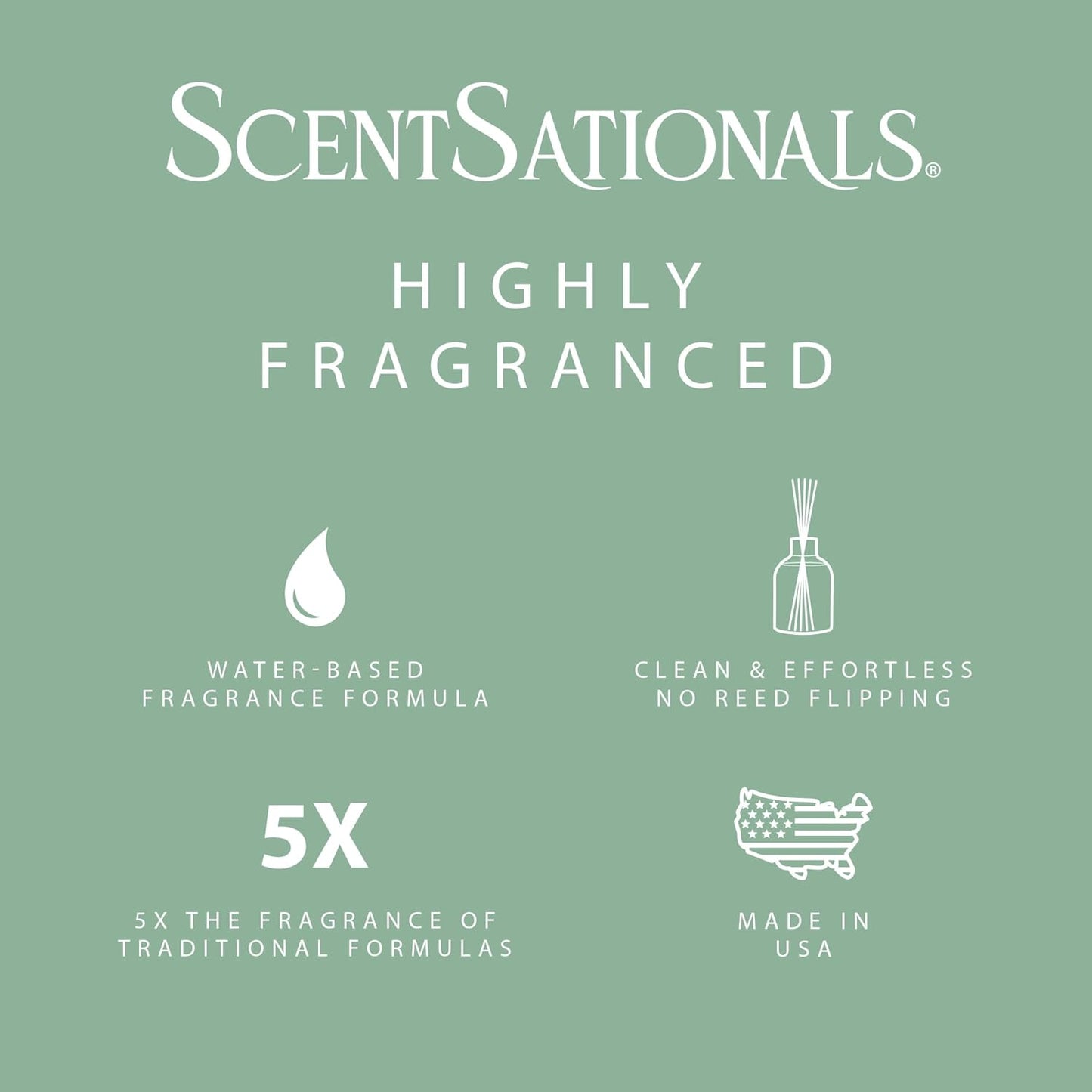 ScentSationals Water-Based Reed Diffuser - Eucalyptus & Sea Salt - 5 FL OZ Aromatherapy Reed Diffuser