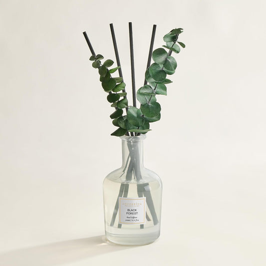 COCORRÍNA Wild Mint & Eucalyptus Reed Diffuser – 6.76 oz Essential Oil with 8 Reeds & Real Eucalyptus Sticks, Home Fragrance for Bedroom or Bathroom Décor