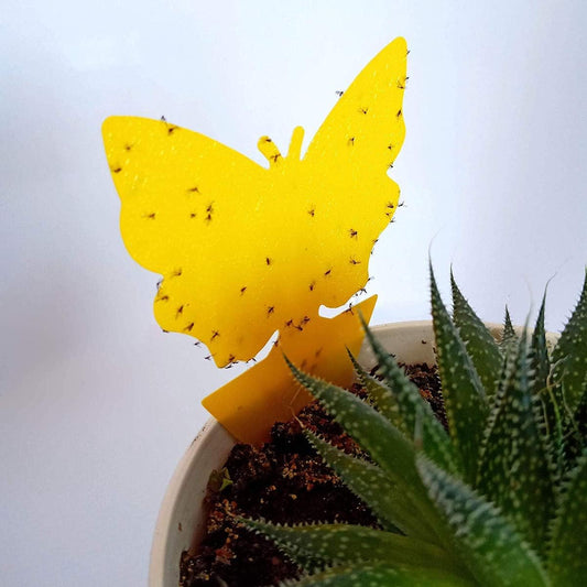 Gideal 20-Pack Dual-Sided Yellow Sticky Traps for Flying Plant Insect Such as Fungus Gnats, Whiteflies, Aphids, Leafminers,Thrips - (6x8 Inches, Included 20pcs Twist Ties)