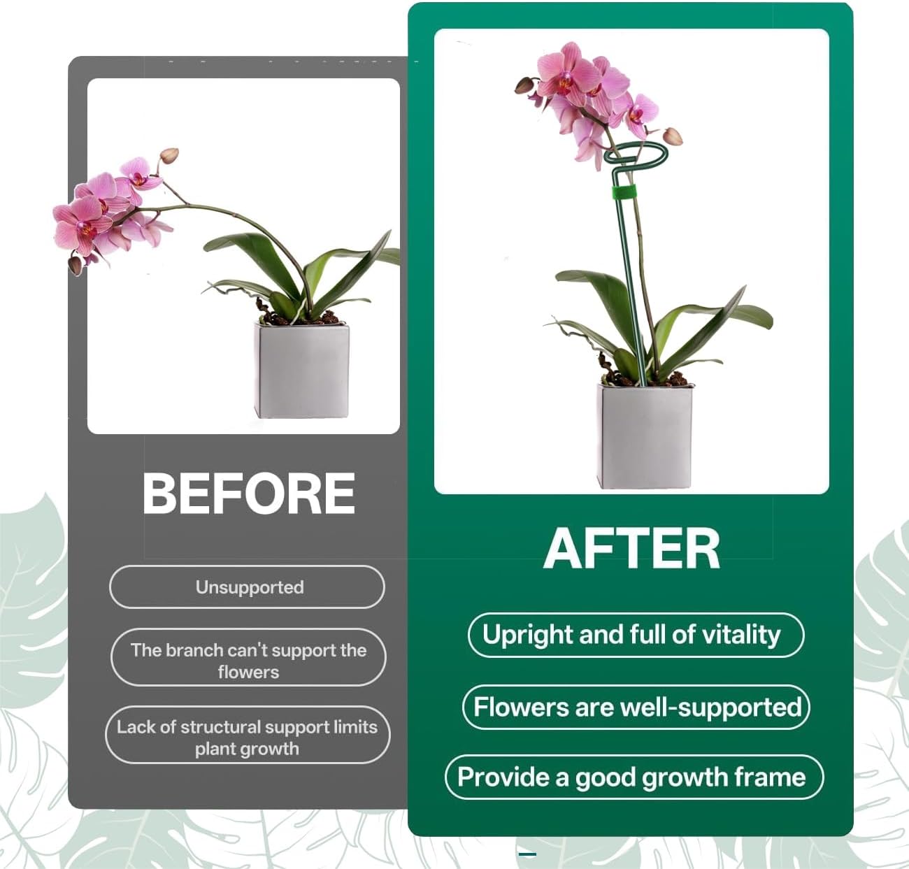 6 Pack 24 in Extendable Plant Support Stakes for Outdoor Plants and Flowers | Adjustable 12 to 24 Inch garden sticks for indoor outdoor, fits orchid, tomato, vegetables and monstera