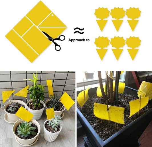 Kensizer 20-Pack Fruit Fly Trap, Yellow Sticky Gnat Traps, 6x8 in | For Indoor/Outdoor, Flying Plant Insect Killer, Fungus Gnats, Whiteflies, Aphids, Leaf Miners, Twist Ties Included