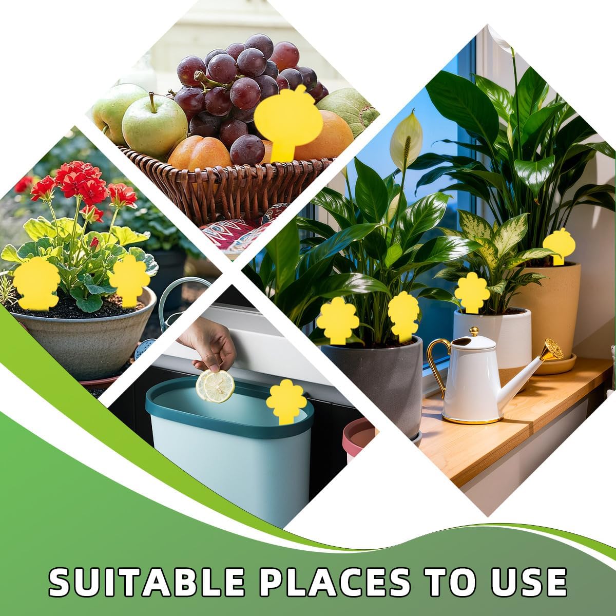 Sticky Yellow Fungus Gnat Traps, Easier to Use, No Touching Glue Or Bugs, Targets Species for Gnat, Fruit Fly & Pests, Thoughtfully Designed, High Capture Rate, Kid & Pet Safe, 36 Traps