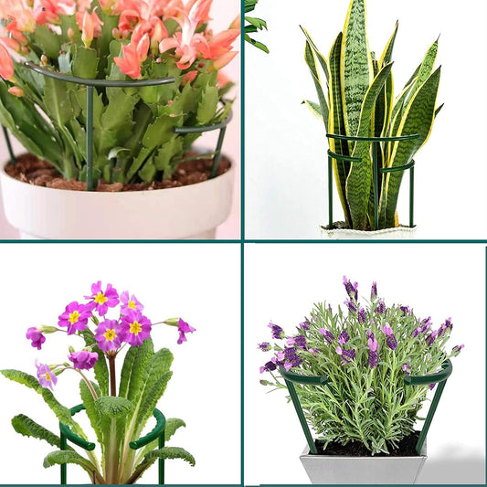12 Pack Plant Support for Indoor and Outdoor Small Plants,Half Round for Potted Plants, Plastic Ring Flower Stakes with 20Pcs Plant Garden Clips