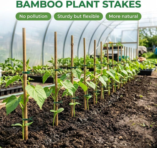 Plant Stakes Natural Bamboo Sticks - 30 Pcs Bamboo Garden Stakes for Plants 4.8 FT Plant Support Sticks with Twist Ties for Tomatoes Beans Flowers Indoor Outdoor Potted Climbing Plants