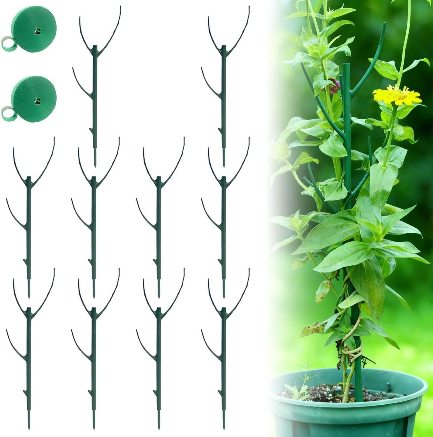 Stackable Monstera Plant Support, Garden Stakes for Climing Plants Stem Support, Plant Sticks for Outdoor Potted Plants, Pothos, Vine, Flower Use (5pcs)