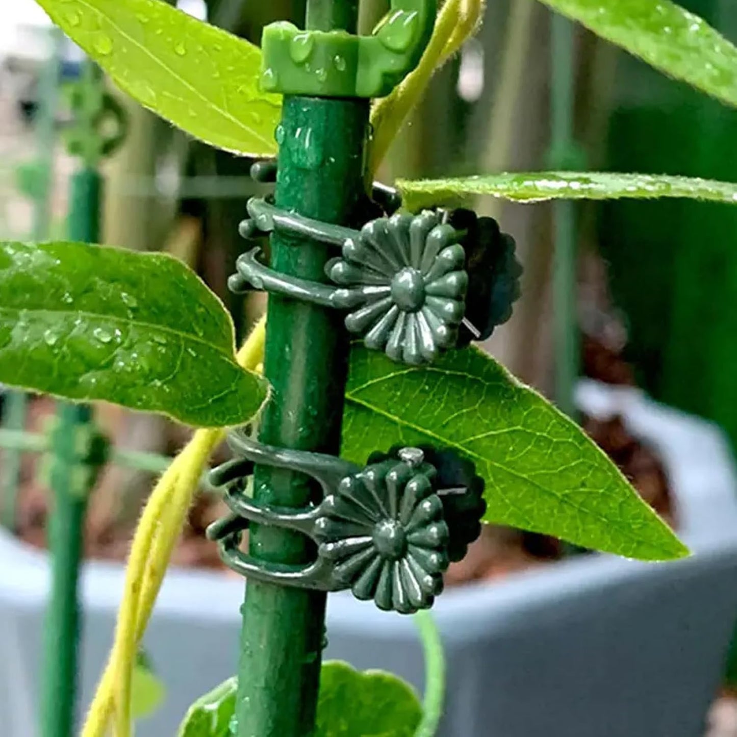 20 Pcs Orchid Stakes and 40 Pcs Clips, 10.6 Inch Green Plant Support Stake, Rust-Proof Plastic Stakes for Tomato, Rose, Pepper, Indoor & Outdoor Potted Plants with Adjustable Clips & Tie