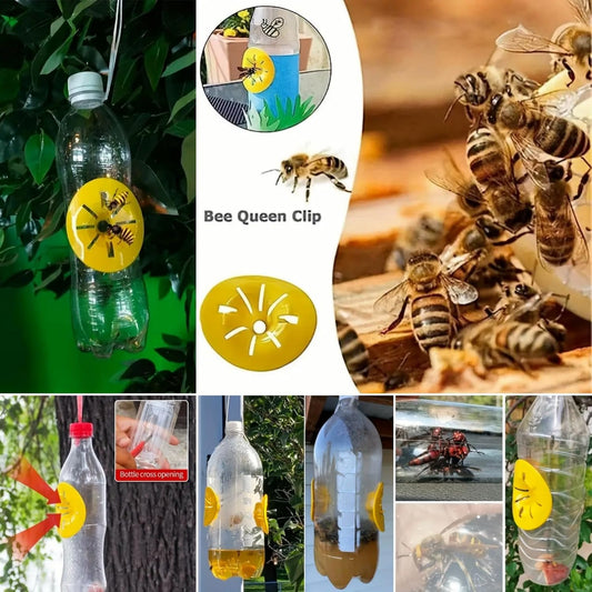 10/20 / 40Pcs Hanging Hornets Wasps Traps Beekeeping Tool Construction Suitable for Long Lastingly Garden Protective Attractive Wasps Trap
