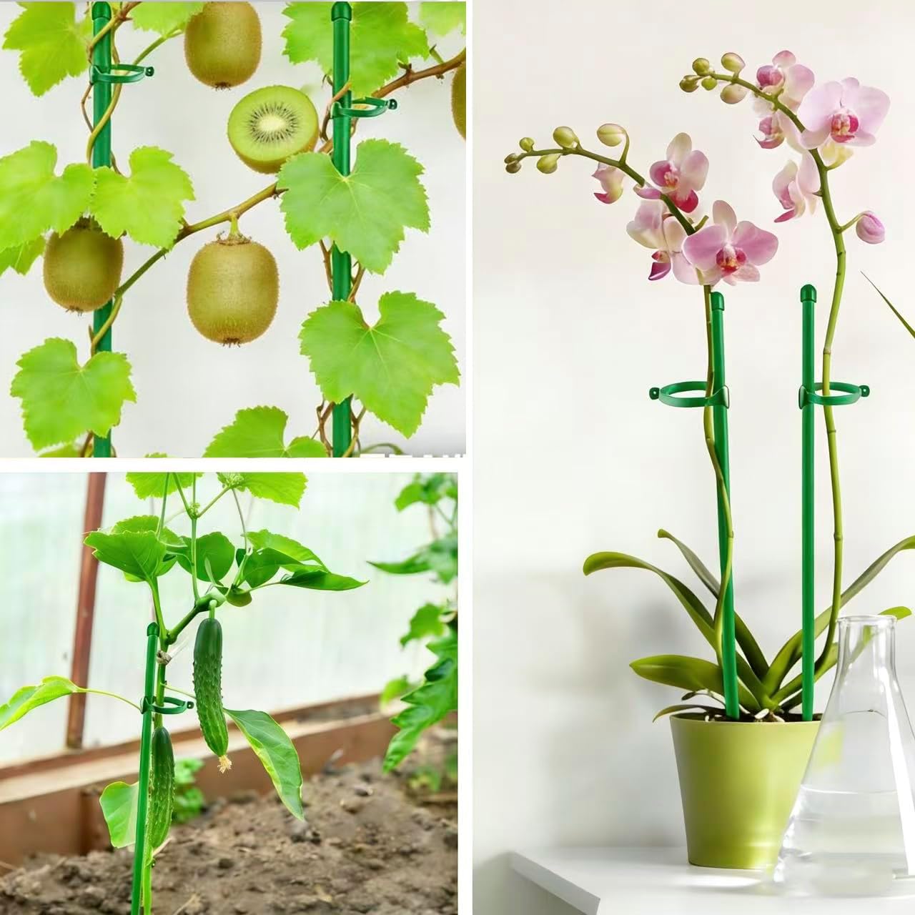 Plant Stakes for Indoor Plants,10PCS Plant Sticks 15.7in Plant Support Stakes for Potted Tomato Vegetables, Orchid Stakes with Clips for Indoor Outdoor