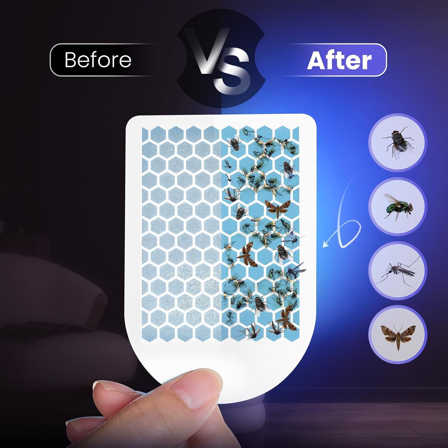 LiBa Fly Trap Refill Glue Cards 3 Pack, Replacement for Indoor Bug Catcher | High-tack adhesive refills, catches gnats and fruit flies, easy to replace and dispose