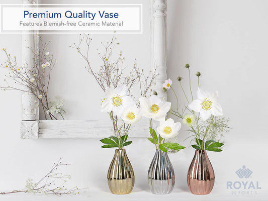 Royal Imports Ceramic Bud Vase, Small Single Stem Flower or Rose Centerpiece, Mini Decorative Floral Holder, Rustic Farmhouse Home Decor, Kitchen, Fireplace, Shelf - White - Set of 3