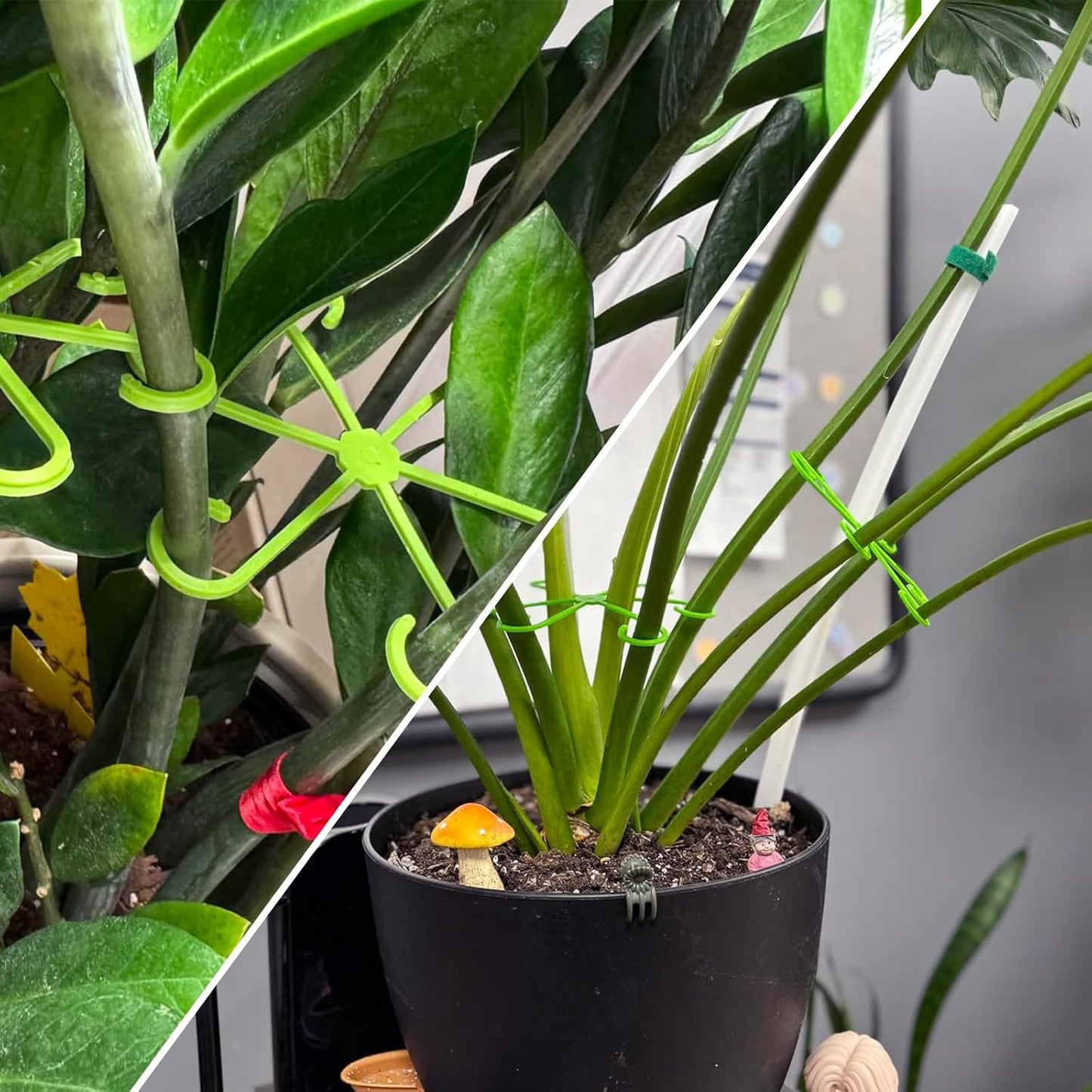 Monstera Plant Support, 16Pcs 4 Sizes Plant Stem Holders Reusable Plant Stakes for Indoor Plants Accessories Garden Tools