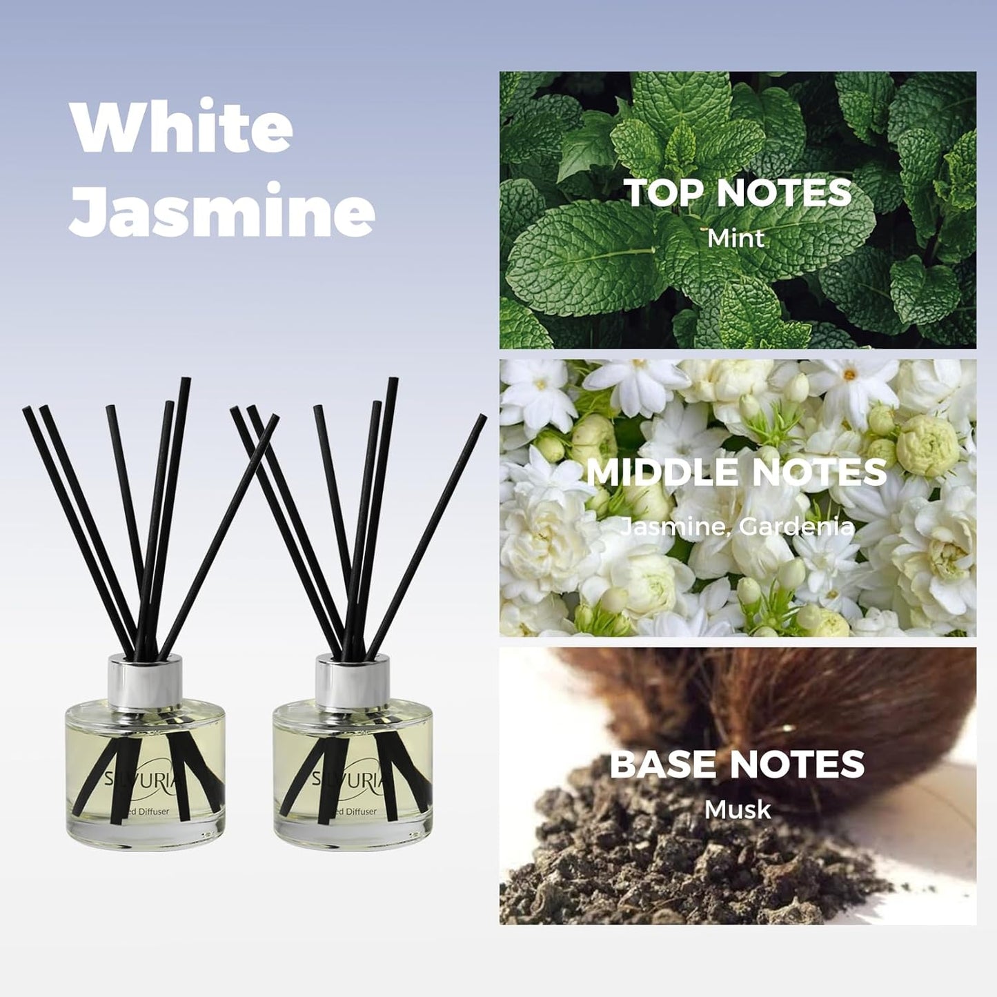 Reed Diffuser Set,Bamboo White Tea Scented Oil Diffuser with 12 Reed Sticks,3.38 fl.oz(100ml x2),Long-Lasting Home Fragrance for Living Room,Bedroom,Bathroom