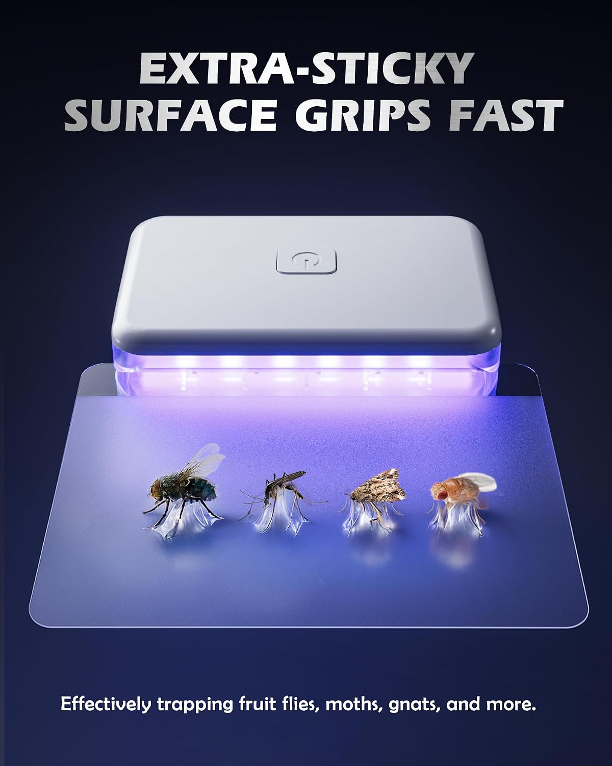 LFSYS 2 Pcs Fruit Fly Traps for Indoors (2 Device+10 Refills) Plug in UV Light Fly Trap for Gnats, Fruit Flies, Flying Insects Sleek Design Indoor Safe