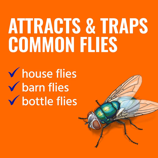 TERRO Fly Magnet Trap, Reusable Poison-Free Outdoor Fly Catcher with Bait | Kills House Flies, Barn Flies & Bottle Flies, Easy to Use Outdoor Fly Trap for Patios & Decks, Bait Activates in Hours