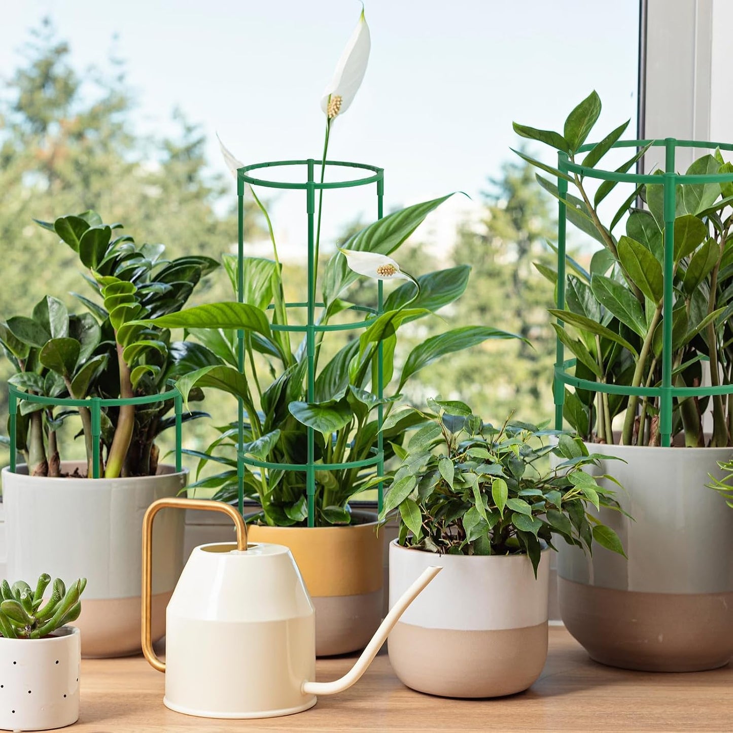 14Pcs Plant Support Stake Half Round Plant Support Ring Garden Flower Support for Tomato, Hydrangea, Indoor Plants, 6.3" Wide X 10.3" High