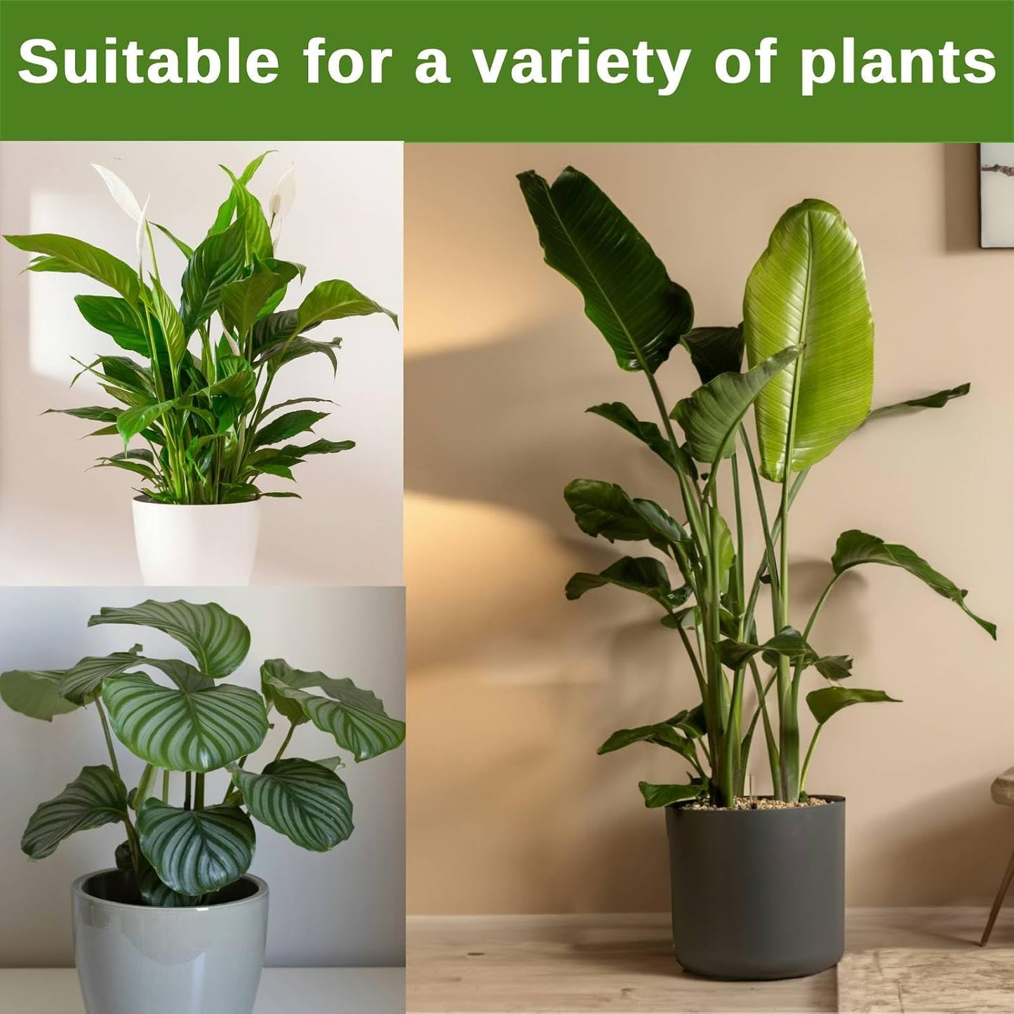 10 Pack Stackable Monstera Plant Support Stakes, Climbing Plants Support Monstera Trellis for Indoor, Alternative to Moss Pole (25inch/10 Pack)