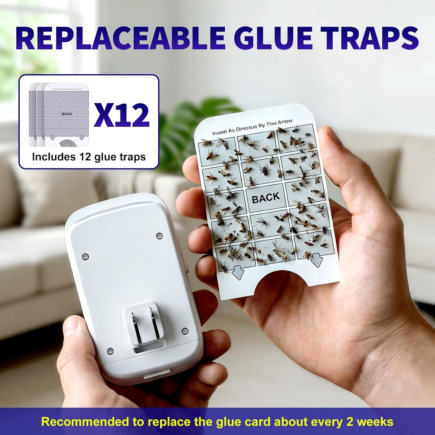 Upgraded Fruit Fly Traps for Indoors, Flying Insect Trap for Fruit Flies, Gnats, Plug in Bug Zapper Indoor with Dual-UV Lights & Trapping, Electric Grid & Glue Traps
