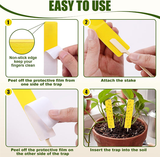 36 PCS Yellow Sticky Traps for Plant Gnats, Dual Sided Fungus Gnat Trap for Live Plants Indoor Outdoor, Waterproof Plant Sticky Traps for Home, Farm, Garden, Hydroponics & Greenhouse (4" x 1")