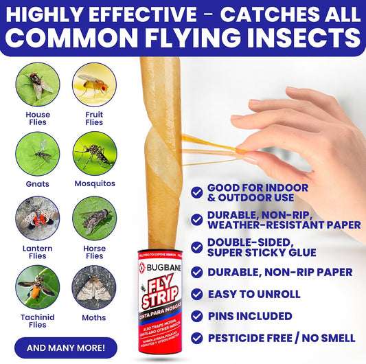 Fly Strips Indoor Sticky Hanging 10pk with Pins. Non Toxic Outdoor Fly Trap Indoor for Home. Flies Tape Paper Trap Ribbon Roll for House Gnat Fruit and Housefly. Bug Catchers for Inside Home Flypaper.