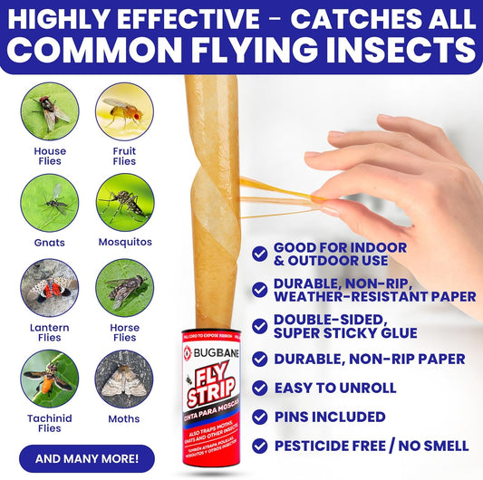 Fly Strips Indoor Sticky Hanging 10pk with Pins. Non Toxic Outdoor Fly Trap Indoor for Home. Flies Tape Paper Trap Ribbon Roll for House Gnat Fruit and Housefly. Bug Catchers for Inside Home Flypaper.