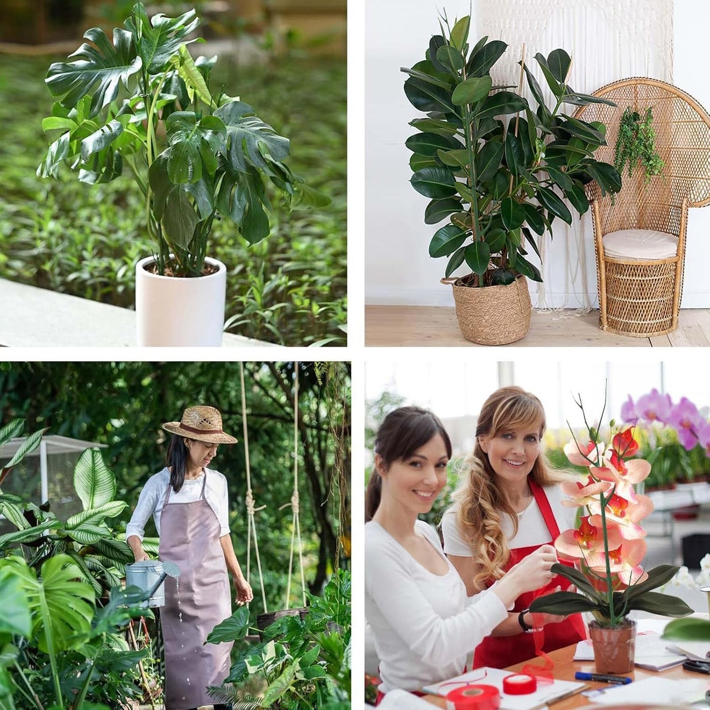 Plant Support Stakes for Climbing Plants, Stackable, Indoor Outdoor Use, Monstera Philodendron Pothos (10inch-10PCS)