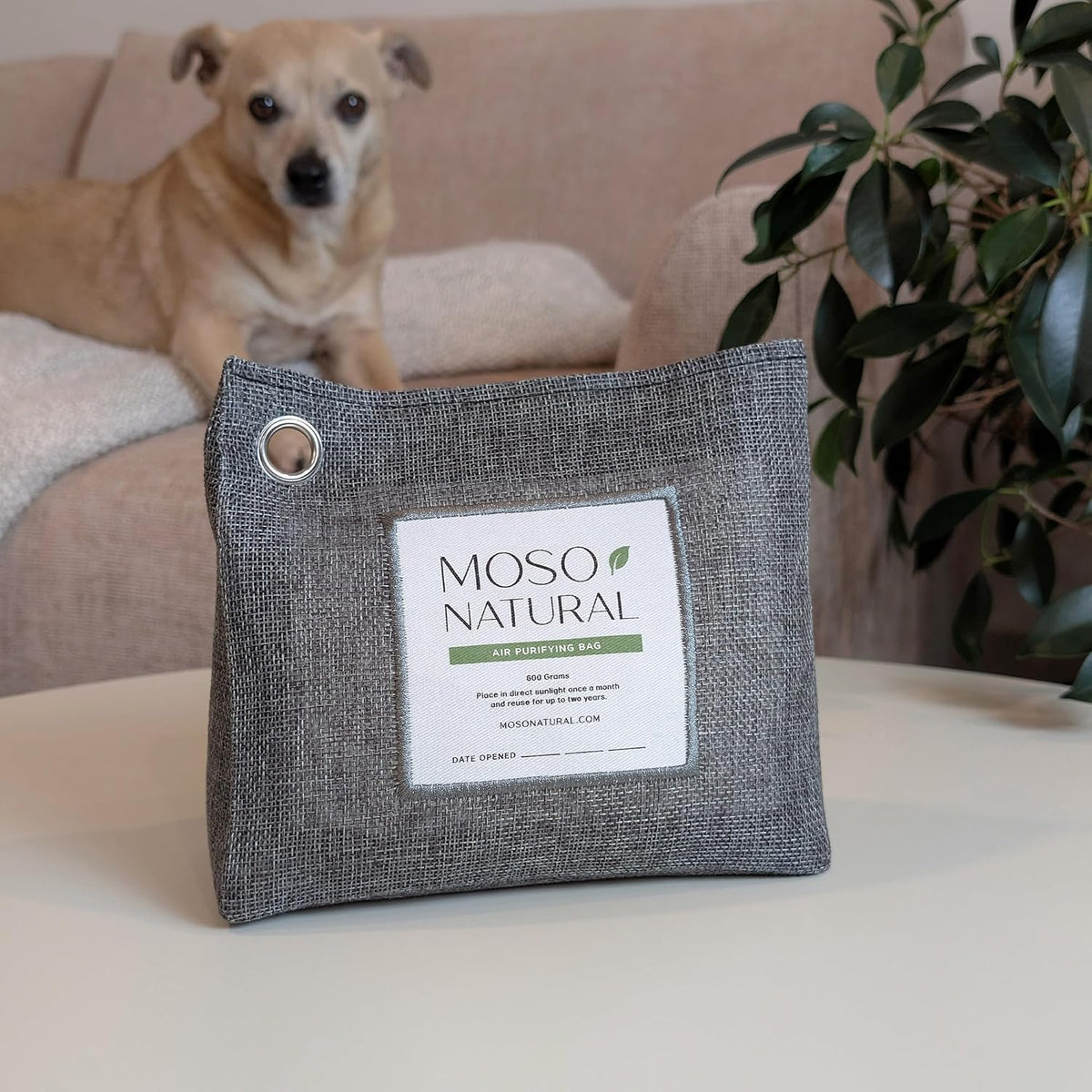 Moso Natural Air Purifying Bag 600g, Premium Charcoal Odor Absorber & Room Deodorizer for Large Spaces — Lasts 2 Years, Bedroom, Basement, Pet Odor Eliminator for Home, Unscented Bamboo Charcoal Bag