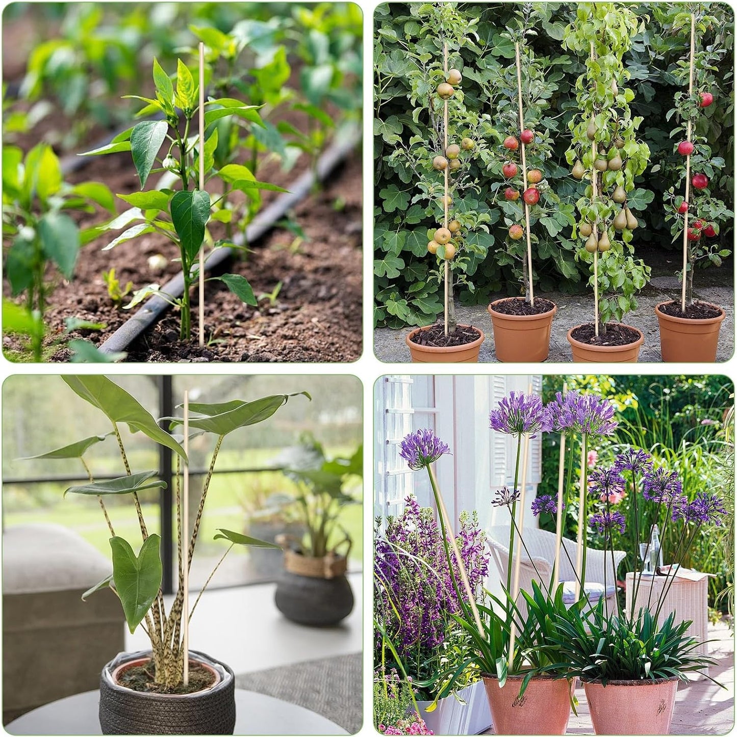 46 PCS Bamboo Plant Stakes 18 Inch, 5mm Thick Wood Plant Support Stakes | for Seedlings Gardening Potted Floral Plant, Indoor Wooden Sign Posting Garden Stick, Crafts Sticks with 46 PCS Wires(4")