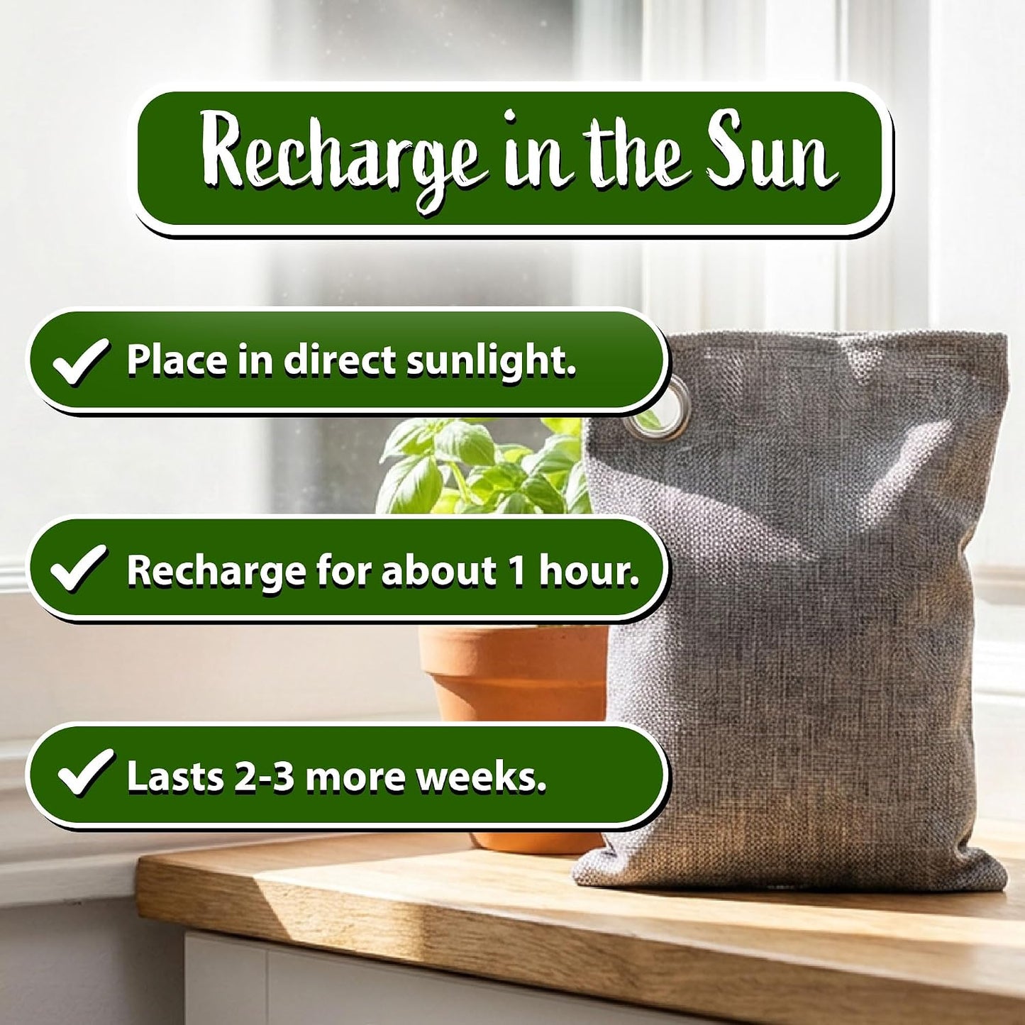 100g Bamboo Charcoal Bags (Pack of 10 Bags) - Activated Charcoal Odor Absorber - Reusable Bags for Homes, Cars, Closets, & Shoe Odor - Absorbs Odors & Moisture - Organic Sustainable Room Air Freshener