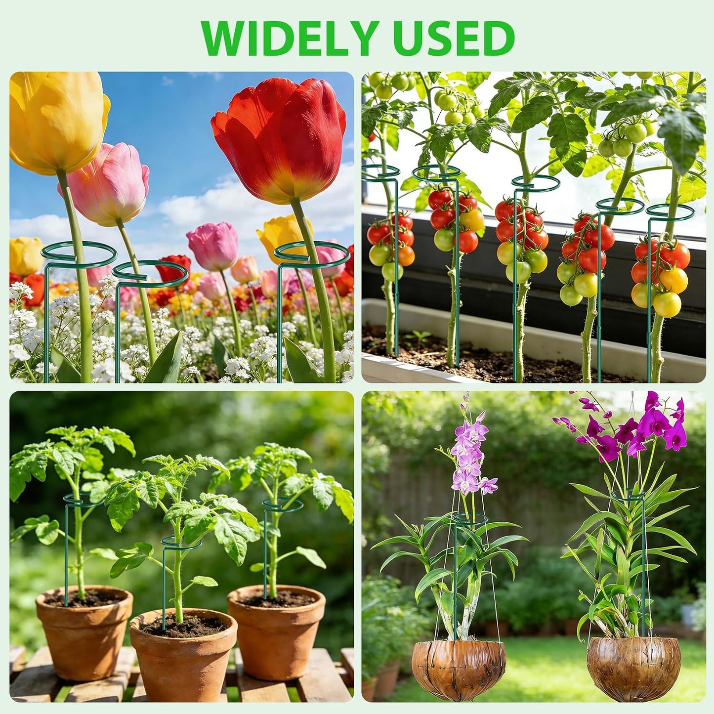 Unves 24 in Plant Stakes, 12 Pack Garden Plant Support Stakes(12" or 24") | Single Stem Plant Cage for Outdoor Indoor Plants Orchid, Tomatoes, Peony, Lily, with 100 Pcs Twist Ties