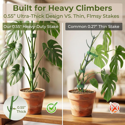 Heavy-Duty Monstera Plant Support Stakes - 10-Piece Stackable Sticks | For Climbing Stem up to 39.6" Tall - 0.55" Thick Indoor Plant Poles & Outdoor Garden Structures