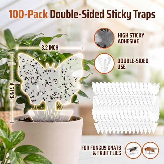 100 Pack Gnat Traps, Double Sided Plant Sticky Traps for Flying Insects, Clear Flying Bug Catcher for Indoor Outdoor Fruit Flies, Mosquitoes, Easy Release Liner for Plants, House