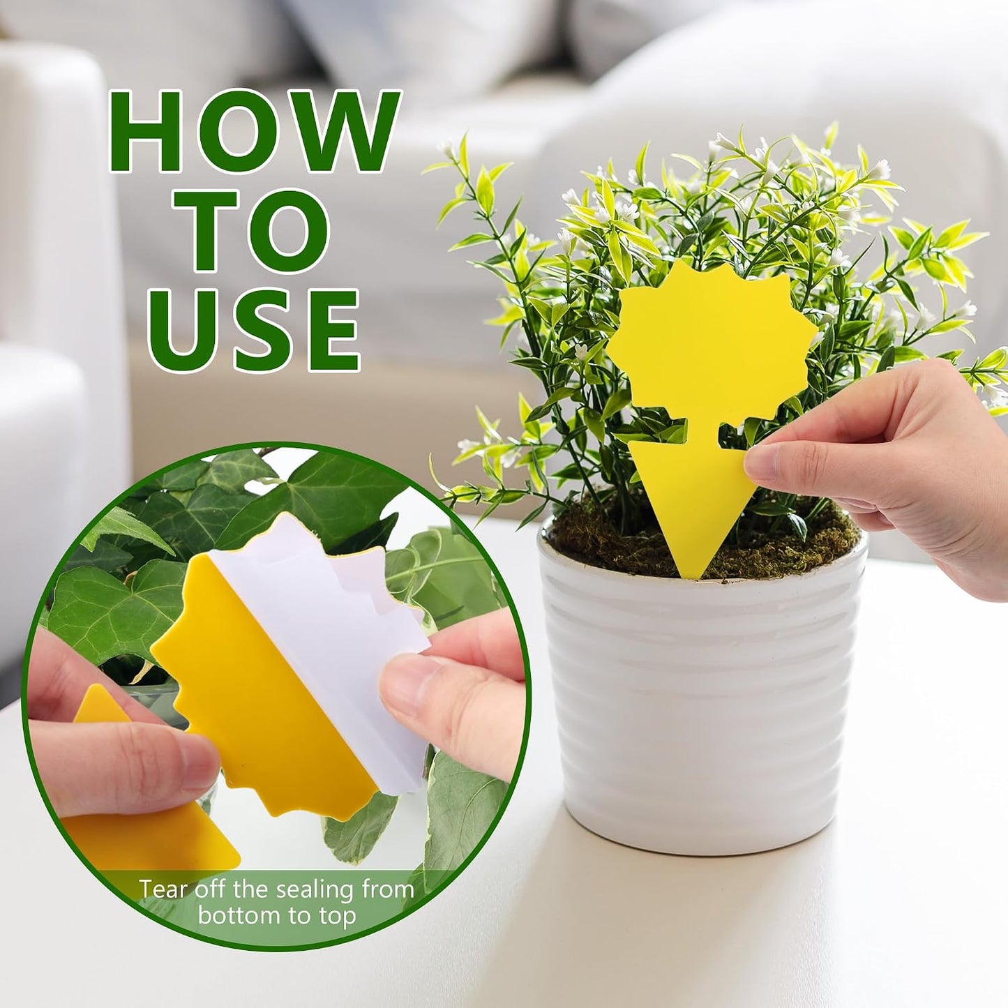Fruit Fly Traps Indoor Fungus Gnat Trap 48PCS for Plants Yellow Houseplants Outdoor Use Insect Sticky