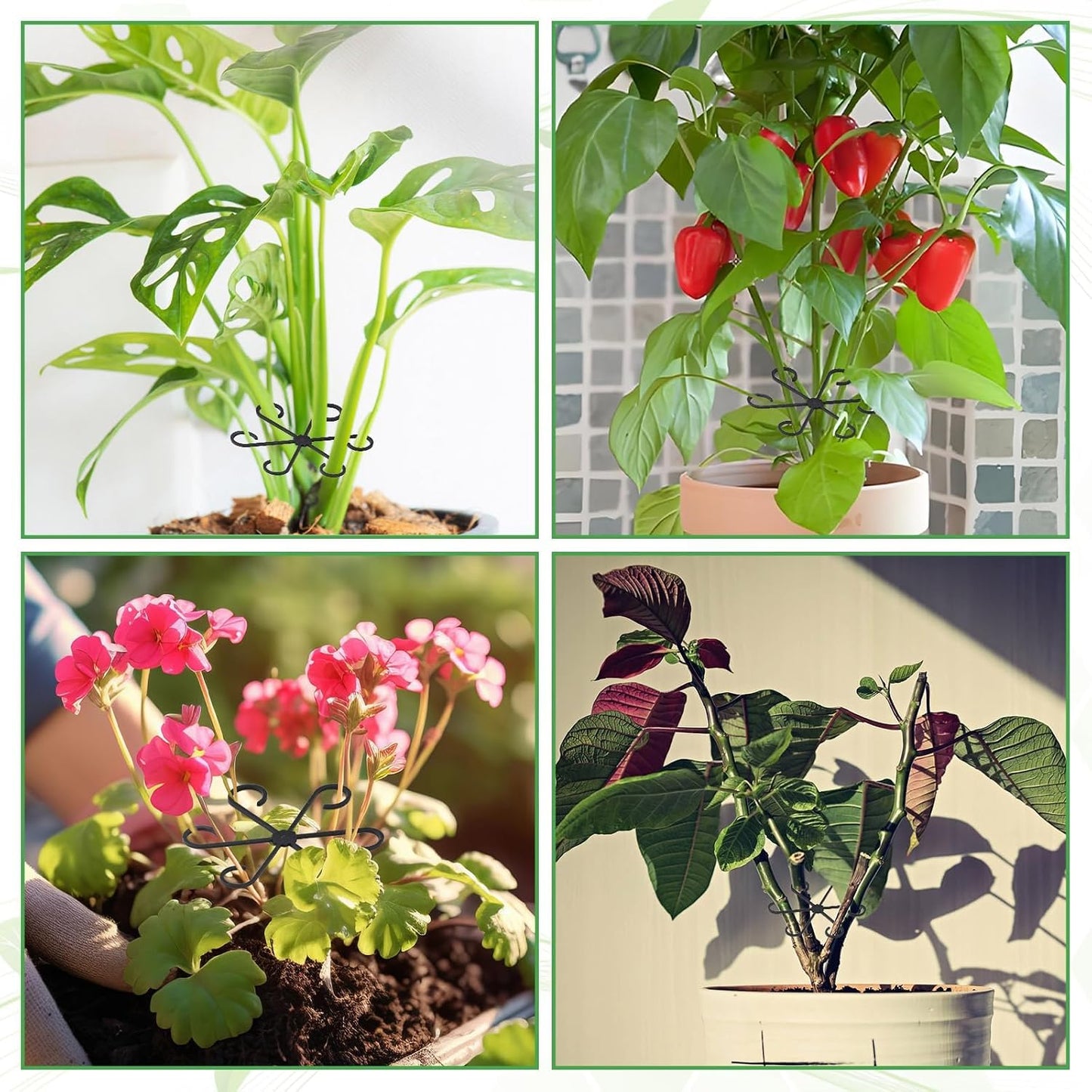 AUGSHY 12 Pcs Plant Stem Holders, Plastic Invisible Plant Support Stakes Indoor Reusable Climbing Houseplant Stem Supports Hook Growth Accessories for Indoor Home Garden