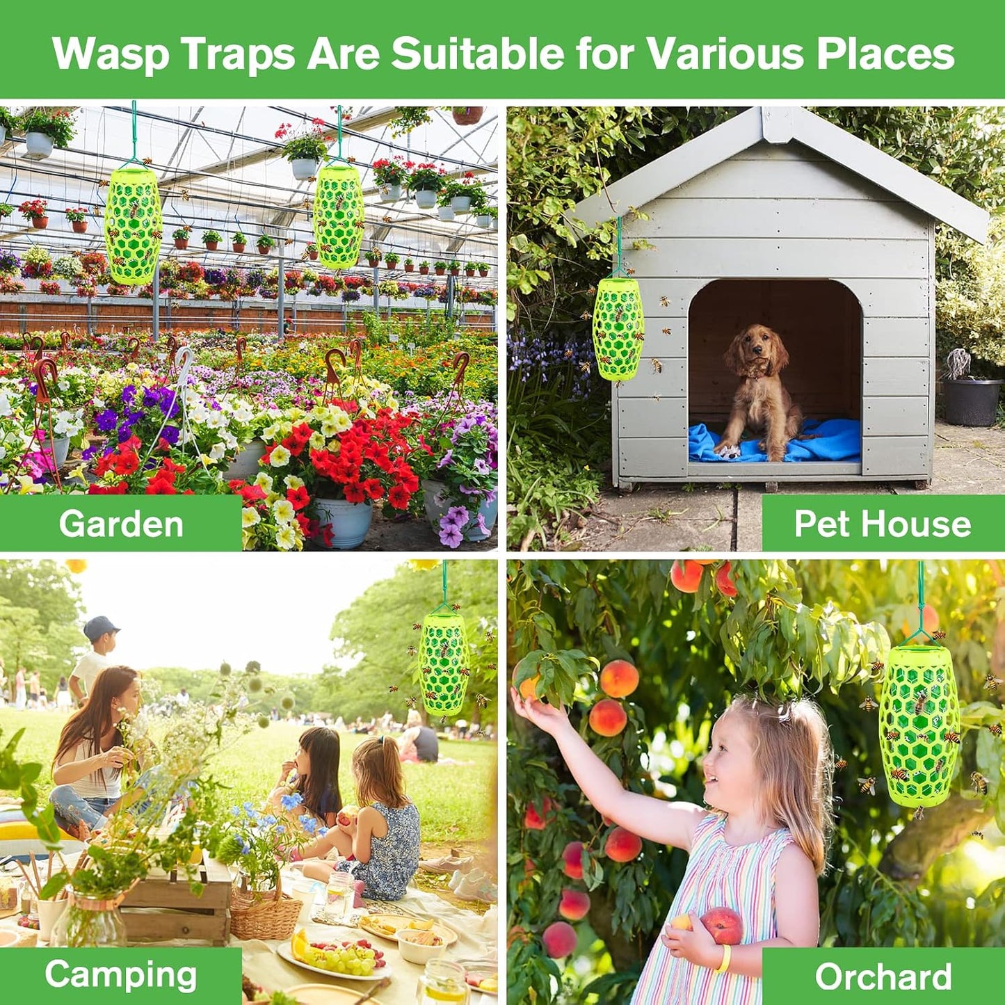 Wasp Trap Bee Catcher - Outdoor Hanging Carpenter Bee Traps with 4 Sticky Boards, Non-Toxic Reusable Hornet & Yellow Jacket Trap, 2 Pack (Green)