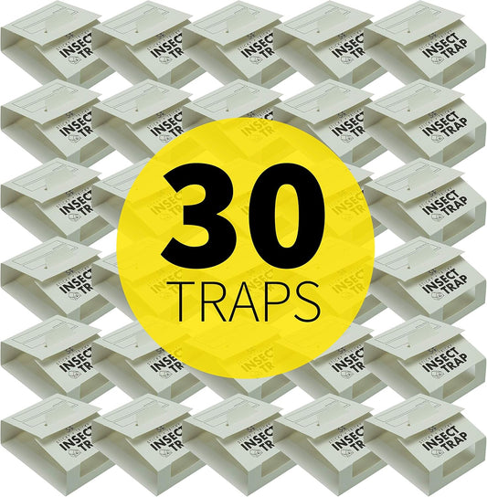 S&T INC. 30pk Insect Traps, Brown Recluse, Hobo Spiders, Black Widows, White, 30 Count