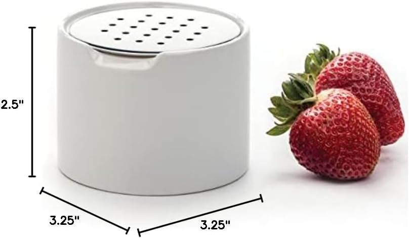 RSVP Endurance Kitchen Collection Ceramic Fruit Fly Trap, Stainless Steel Lid, Dishwasher Safe, 3.25x2.5