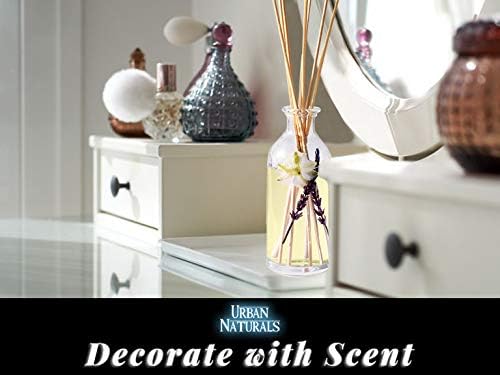 Urban Naturals Smoked Vanilla Reed Diffuser Set with Vanilla Bean, Sandalwood & Leather | Made in the USA - Colors B