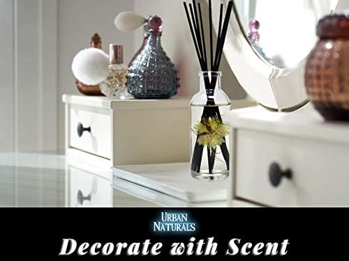 Urban Naturals Smoked Vanilla Reed Diffuser Set with Vanilla Bean, Sandalwood & Leather | Made in the USA - Colors C