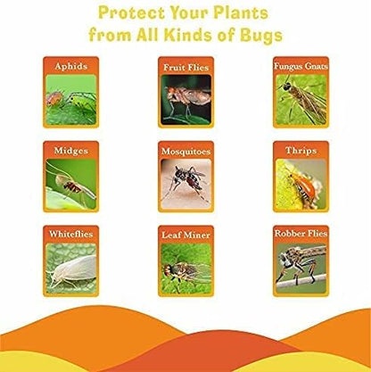 6 Pack Disposable Wasp Traps Outdoor Hanging Carpenter Bee Traps for Outside Yellow Jacket Trap Hornet Trap Wasp Catcher for Bug Flies Patio Garden
