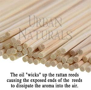 Urban Naturals Smoked Vanilla Reed Diffuser Set with Vanilla Bean, Sandalwood & Leather | Made in the USA - Colors B