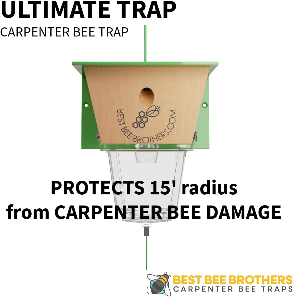 Best Bee Brothers Ultimate Carpenter Bee Trap for Outside | Large Clear External Receptacle, Internal Bee Vault, Spring-Loaded Door, 5.75" L x 6" W x 4.5" H