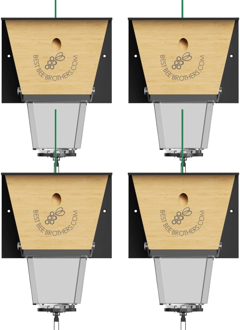Best Bee Brothers Ultimate Pro Carpenter Bee Trap for Outside with Extra-Large, Clear External Receptacle, Internal Bee Vault & Spring-Loaded Door, 4.2” D x 5.8” W x 7.5” H (2 Pack)