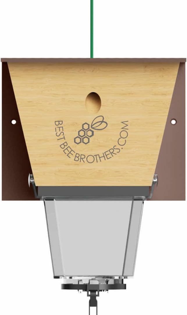 Best Bee Brothers Ultimate Pro Carpenter Bee Trap for Outside with Extra-Large, Clear External Receptacle, Internal Bee Vault & Spring-Loaded Door, 4.2” D x 5.8” W x 7.5” H (2 Pack)