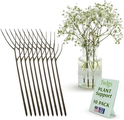 Twigs GA Original Plant Support Stakes, Moonstone, 3-Pack, 22" L | Made in USA, UV-Protected Poles, Natural-Looking Stem Support Stakes, Stick Structures for Flower Plants & Vases up to 3ft