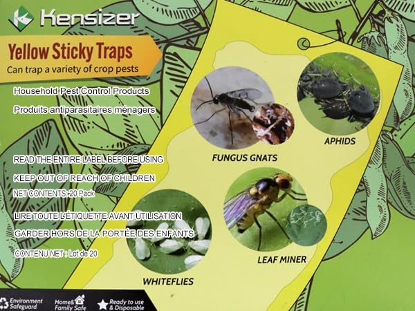 Kensizer 10-Pack Fruit Fly Trap, Yellow Sticky Gnat Trap Killer for Indoor/Outdoor Flying Plant Insect Like Fungus Gnat, Whiteflies, Aphids, Leaf Miners - 6x8 in, Twist Ties Included