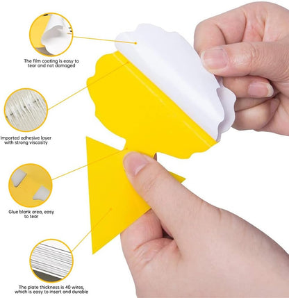 Fruit Fly Sticky Trap 46 Pack - Gnats Insect Traps for Indoor Outdoor, Yellow Double-Sided Sticky Insect Catchers Fungus, Fruit Flies, Whiteflies, Aphids, Leaf Miners